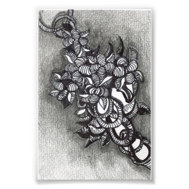 Abstrakt Inspired. Ett kluster av Tangles Fototryck (Framsidan)