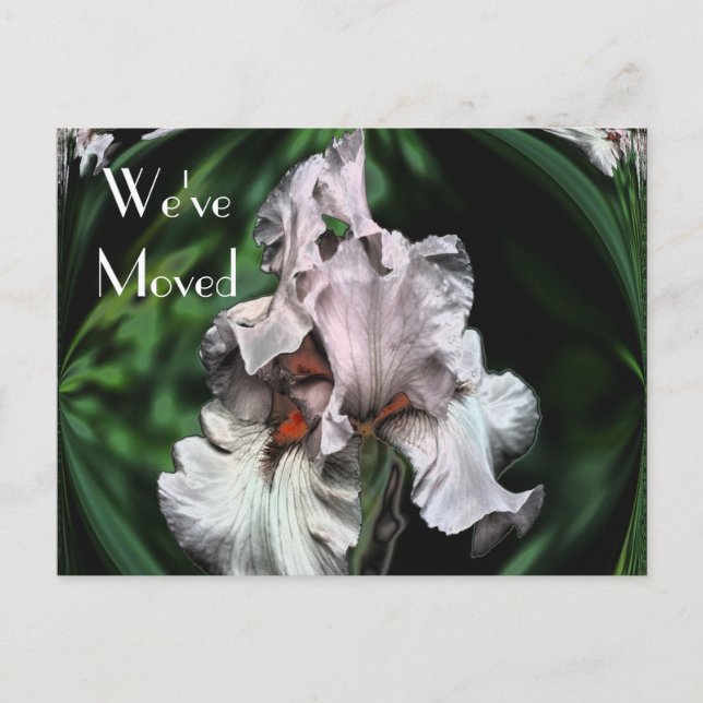 Abstrakt Iris Flower Ny adress Meddelande Vykort (Framsida)