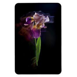 Abstrakt Irisblomma – Elegant blomsterkonst Magnet