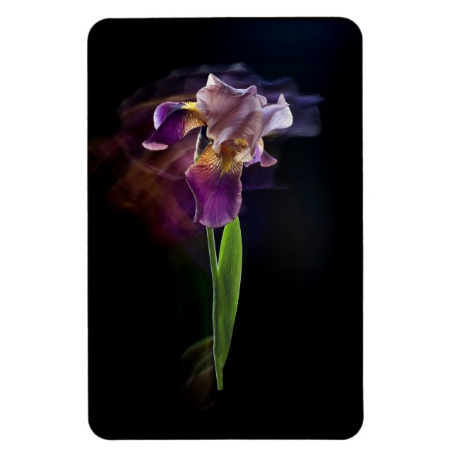 Abstrakt Irisblomma – Elegant blomsterkonst Magnet (Vertikal)