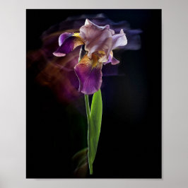 Abstrakt Irisblomma – Elegant blomsterkonst Poster