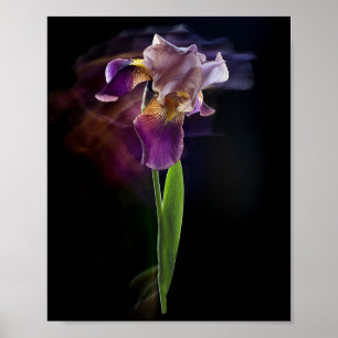 Abstrakt Irisblomma – Elegant blomsterkonst Poster