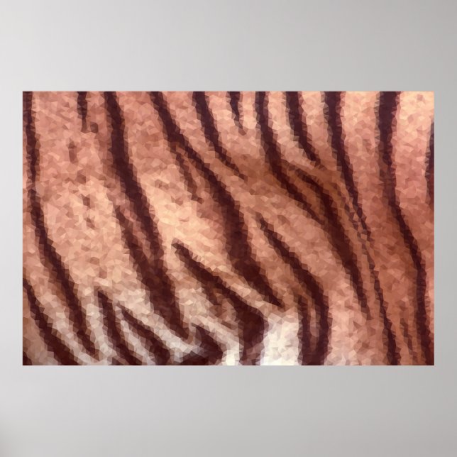 Abstrakt låg djungeltiger päls mönster. Natur Poster (Framsidan)