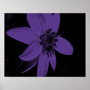 Abstrakt Lila SolrosBlommigt Poster