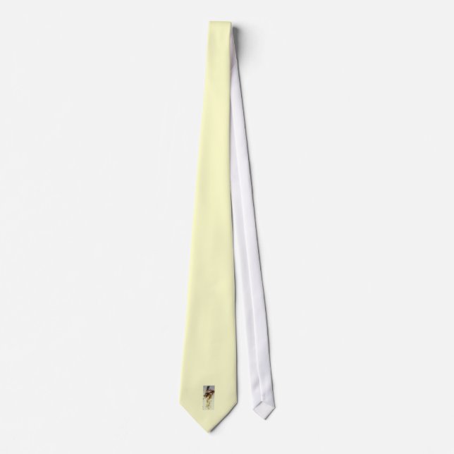 Abstrakt Mandolin Player Tie Slips (Framsida)