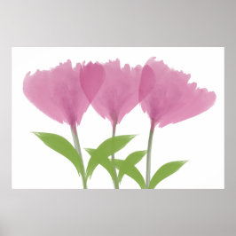 Abstrakt Minimalistic Watercolor Peony Bouquet Poster