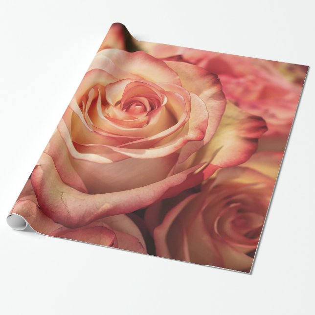 Abstrakt Peach Färg Ro Garden Elegant Blommigt Presentpapper (Utrullad)