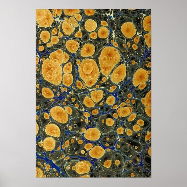 Abstrakt Poster (Framsidan)