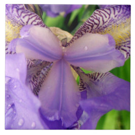 abstrakt purpurfärgade den keramiska liljablomman kakelplatta