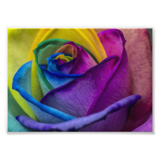 Abstrakt Rainbow Ro Fototryck