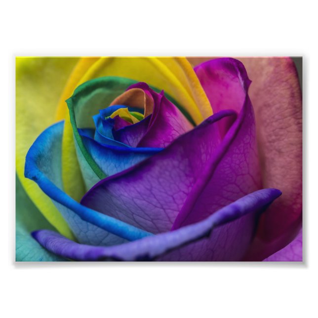 Abstrakt Rainbow Ro Fototryck (Framsidan)