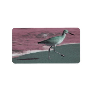 abstrakt röd grönt för sandpiper på strand adressetikett