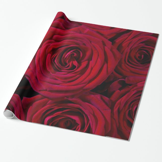 Abstrakt Röda Rosor Trädgård Elegant Blommig  Presentpapper (Utrullad)