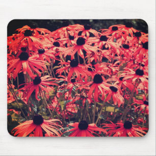 Abstrakt Rosa Black Eyed Susan Flower Art Musmatta