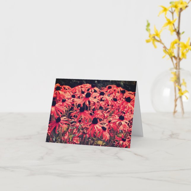 Abstrakt Rosa Black Eyed Susan Note Card Kort (Gul blomma)