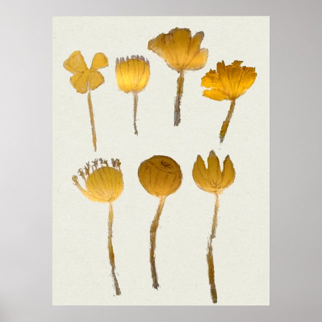 Abstrakt samling av torra blommor poster (Framsidan)