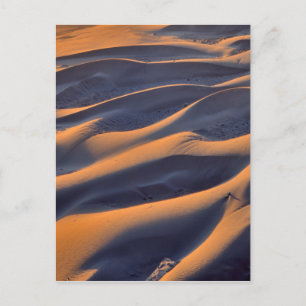 Abstrakt sanddyn vykort