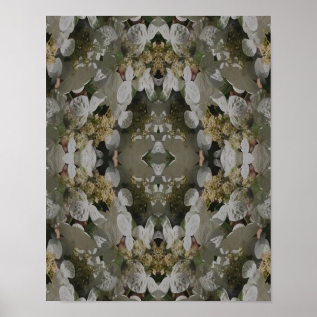 Abstrakt spegel för vit Lacecap-Hortensia  Poster (Framsidan)