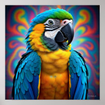 Abstrakt Swirls Parrot