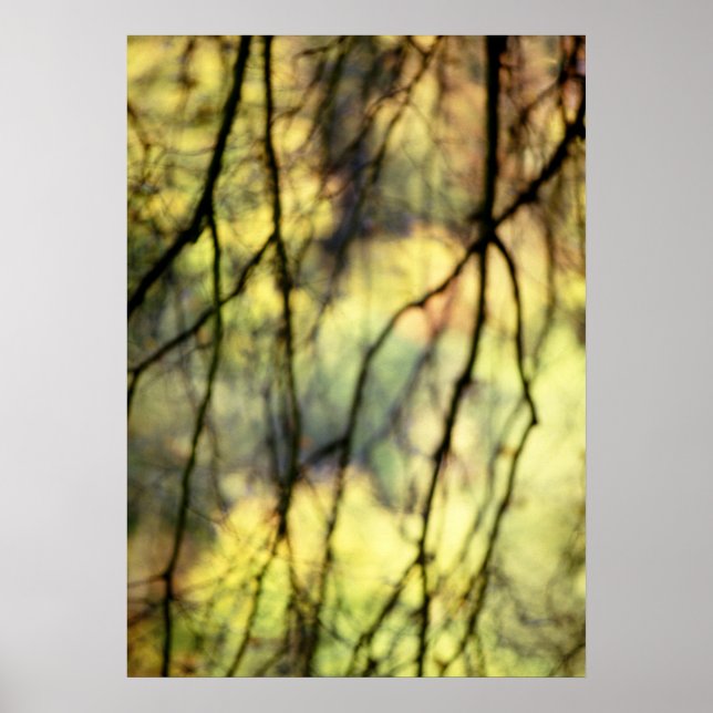 Abstrakt Träd Poster (Framsidan)