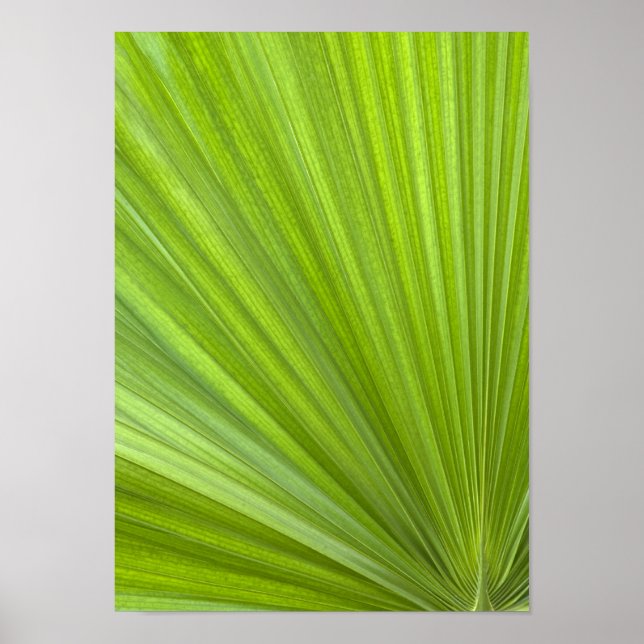 Abstrakt Tropical Grönt Handflatan Frond Poster (Framsidan)