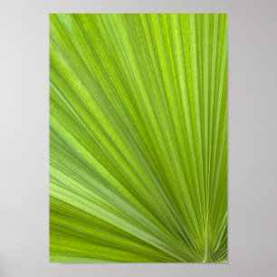 Abstrakt Tropical Grönt Handflatan Frond Poster