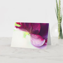 Abstrakt Tulip Petals Art Note Card Kort