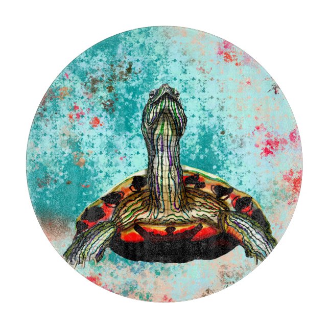 Abstrakt Turtle Artwork (Framsidan)