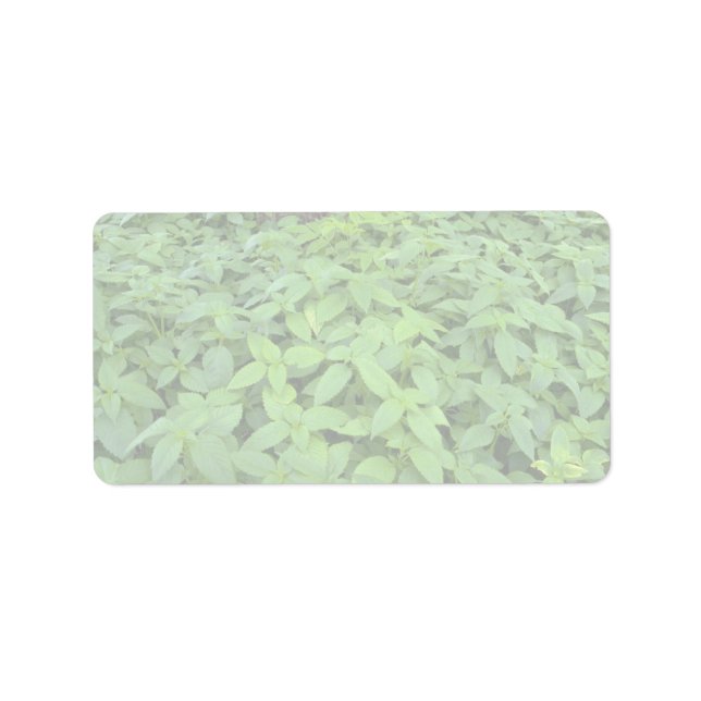 Abstrakt Vild mint löv Adressetikett (Framsidan)