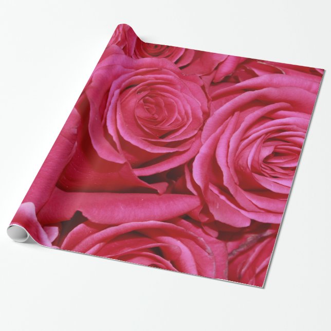 Abstrakt Vit ros Garden Elegant Blommigt Wrappin Presentpapper (Utrullad)