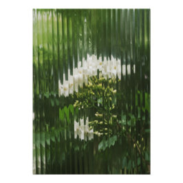  Abstrakt Vita Blommor genom Riffligt Glas  Fototryck