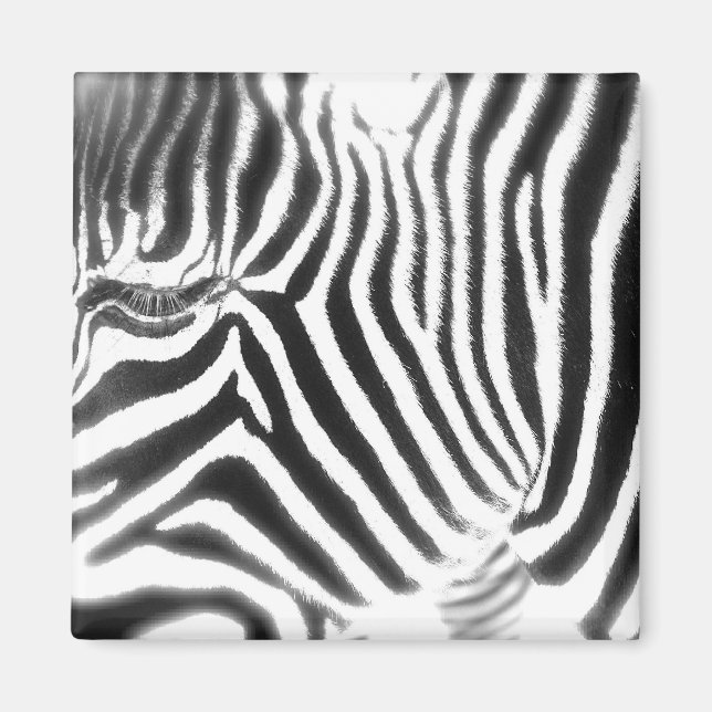 Abstrakt Zebra Magnet (Framsidan)