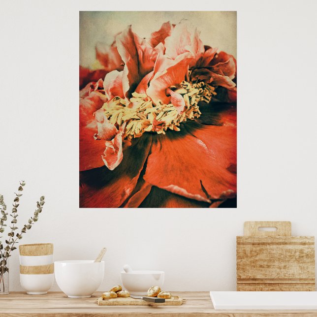 Abstrakte Pfingstrose Poster (Kök)