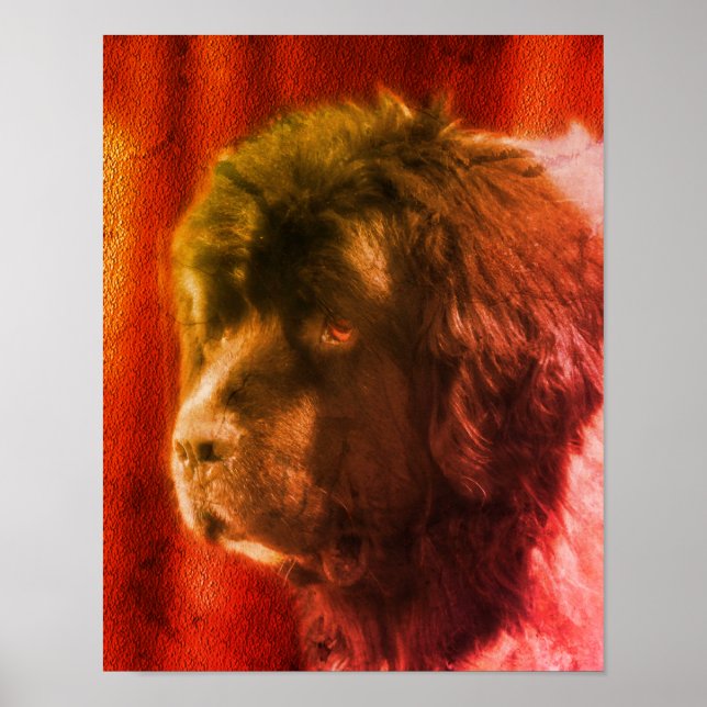 Abstrakten Black and White Newfoundland Hund Ansik Poster (Framsidan)