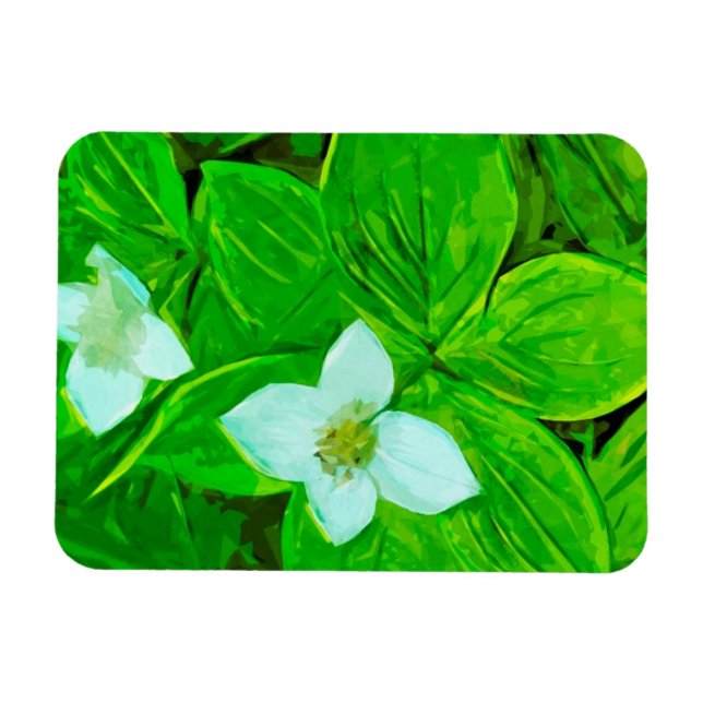 Abstrakten Bunchberry White Wildblomma Magnet (Horisontell)