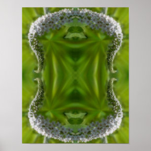 Abstrakten Dreamy Curling White Wildblomma Poster