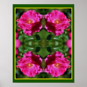 Abstrakten Färggrafik i rosa ros Poster