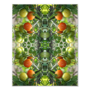 Abstrakten Garden Cherry Tomates Nature 8x10 Fototryck