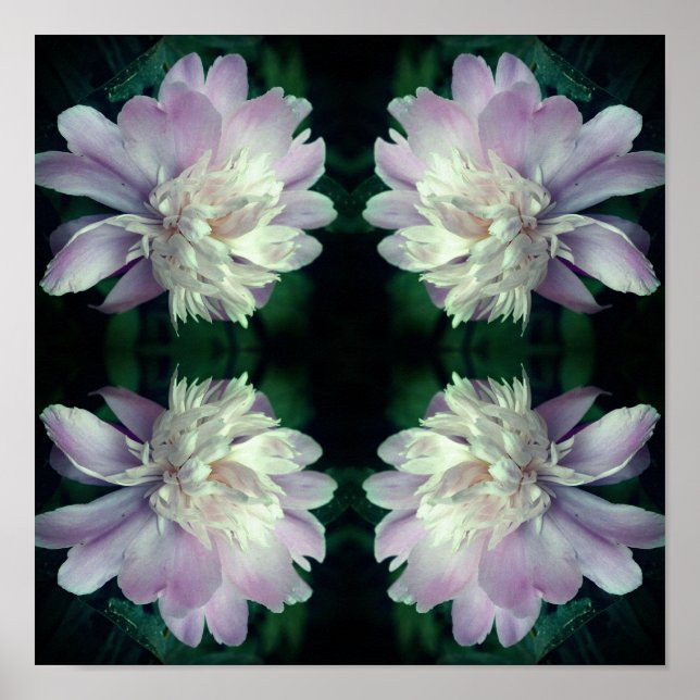 Abstrakten Peony Flower Nature Poster (Framsidan)
