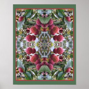 Abstrakten Red Dogwood Fruit Nature Poster