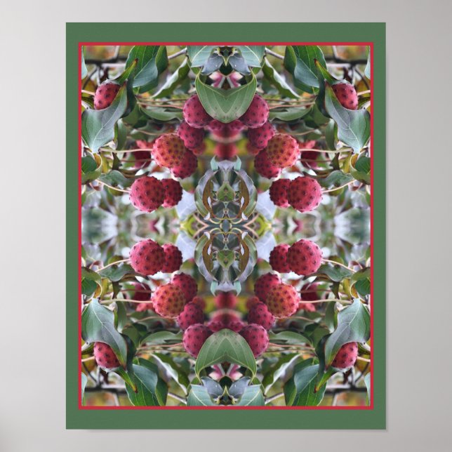 Abstrakten Red Dogwood Fruit Nature Poster (Framsidan)