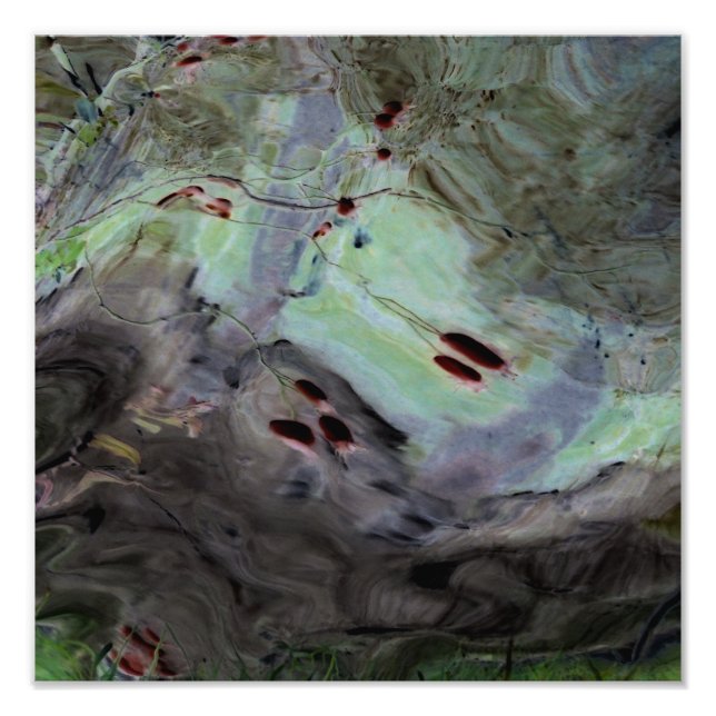 abstrakten "Ro Hips" Redigerad reflektion i Mylar Fototryck (Framsidan)