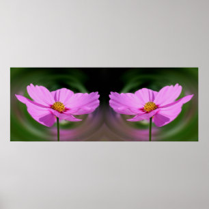 Abstrakten Rosa Cosmos Flower Spegel Poster