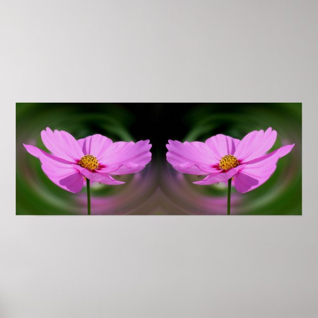 Abstrakten Rosa Cosmos Flower Spegel Poster (Framsidan)