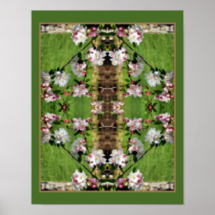 Abstrakten vår Rosa och vita Blommar Poster
