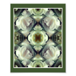 Abstrakten Vit ros Blommigt Spegel Art. 8x10 Fototryck