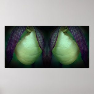 Abstrakten White Dam Slipper Orchid Flower Spegel Poster
