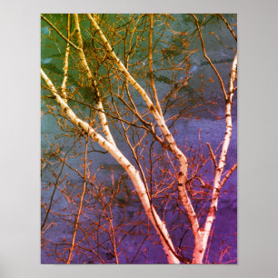 Abstrakten Wita Birch Träd Blå himmel Distress Poster