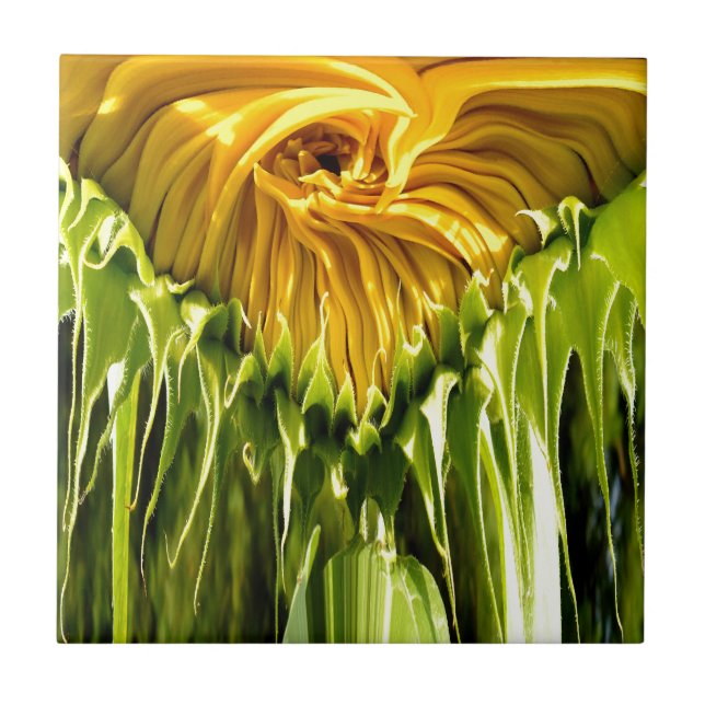 Abstraktens funky, solros, skrämt geometri kakelplatta (Framsidan)