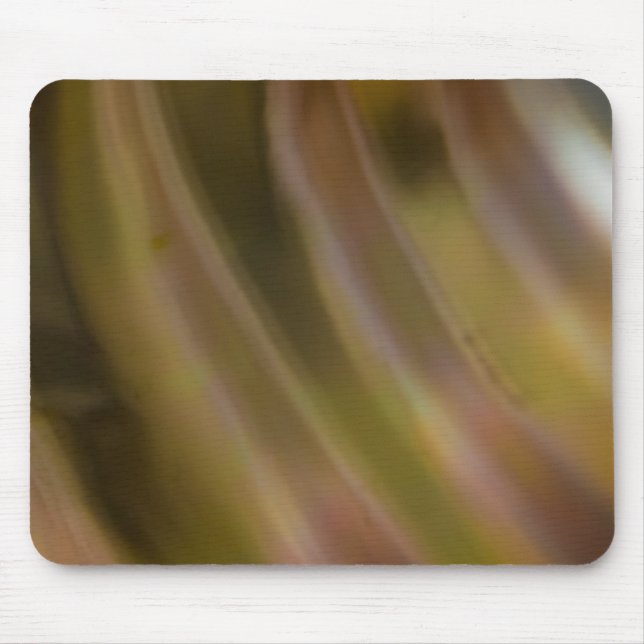 Abstraktens kurva musmatta (Framsidan)